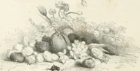 Picture 455 of 649 from Les Français peints par eux-mêmes (1853), leaf 527