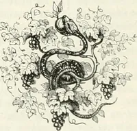 Picture 463 of 649 from Les Français peints par eux-mêmes (1853), leaf 537