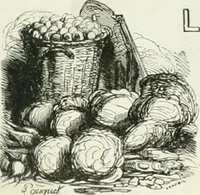 Picture 518 of 649 from Les Français peints par eux-mêmes (1853), leaf 610
