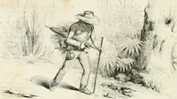 Picture 587 of 649 from Les Français peints par eux-mêmes (1853), leaf 705