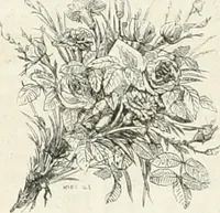 An illustration from Les Français peints par eux-mêmes (1853)