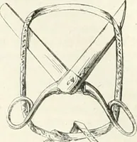 An illustration from Les Français peints par eux-mêmes (1853)