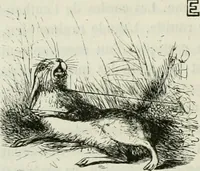 An illustration from Les français peints par eux-mêmes : encyclopédie morale du dix-neuvième siècle (1840)
