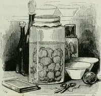 Picture 7 of 180 from Les français peints par eux-mêmes : encyclopédie morale du dix-neuvième siècle (1840), leaf 16