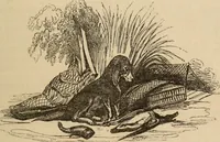 An illustration from Les Français peints par eux-mêmes : encyclopédie morale du dix-neuvième siècle. -- (1841)