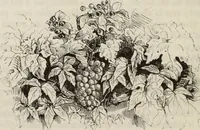An illustration from Les Français peints par eux-mêmes : encyclopédie morale du dix-neuvième siècle. -- (1841)