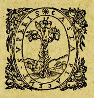 Picture 1 of 2 from Les fruicts de la mission des reuerends peres capucins en l'isle de Maragnan. : Comment la croix fut plantée, & la terre beniste, dequoy s'est ensuiuy la conuersion de plusieurs indiens sauuages Topinamba, qui ont receu le baptesme par lesdits rr. pp. capucins (1614), leaf 5