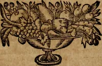 An illustration from Les généaologies historiques des rois, empereurs, &c : et de toutes les maisons souveraines qui ont subsisté jusqu'à présent, exposées dans les cartes généalogiques tirées des meilleurs auteurs, avec des explications historiques et chronologiques .. (1736)