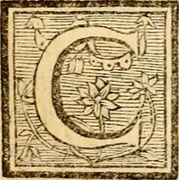 An illustration from Les généaologies historiques des rois, empereurs, &c : et de toutes les maisons souveraines qui ont subsisté jusqu'à présent, exposées dans les cartes généalogiques tirées des meilleurs auteurs, avec des explications historiques et chronologiques .. (1736)