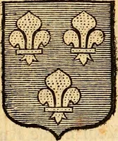 Picture 120 of 378 from Les généaologies historiques des rois, empereurs, &c : et de toutes les maisons souveraines qui ont subsisté jusqu'à présent, exposées dans les cartes généalogiques tirées des meilleurs auteurs, avec des explications historiques et chronologiques .. (1736), leaf 336