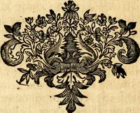 An illustration from Les généaologies historiques des rois, empereurs, &c : et de toutes les maisons souveraines qui ont subsisté jusqu'à présent, exposées dans les cartes généalogiques tirées des meilleurs auteurs, avec des explications historiques et chronologiques .. (1736)