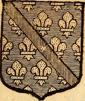 Picture 231 of 378 from Les généaologies historiques des rois, empereurs, &c : et de toutes les maisons souveraines qui ont subsisté jusqu'à présent, exposées dans les cartes généalogiques tirées des meilleurs auteurs, avec des explications historiques et chronologiques .. (1736), leaf 520