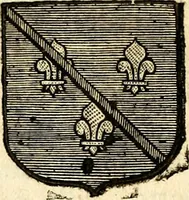Picture 239 of 378 from Les généaologies historiques des rois, empereurs, &c : et de toutes les maisons souveraines qui ont subsisté jusqu'à présent, exposées dans les cartes généalogiques tirées des meilleurs auteurs, avec des explications historiques et chronologiques .. (1736), leaf 545