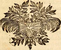 An illustration from Les généaologies historiques des rois, empereurs, &c : et de toutes les maisons souveraines qui ont subsisté jusqu'à présent, exposées dans les cartes généalogiques tirées des meilleurs auteurs, avec des explications historiques et chronologiques .. (1736)