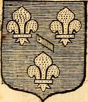 An illustration from Les généaologies historiques des rois, empereurs, &c : et de toutes les maisons souveraines qui ont subsisté jusqu'à présent, exposées dans les cartes généalogiques tirées des meilleurs auteurs, avec des explications historiques et chronologiques .. (1736)