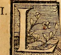 An illustration from Les généaologies historiques des rois, empereurs, &c : et de toutes les maisons souveraines qui ont subsisté jusqu'à présent, exposées dans les cartes généalogiques tirées des meilleurs auteurs, avec des explications historiques et chronologiques .. (1736)