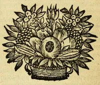 Picture 4 of 16 from Les histoires de Polybe : avec les fragmens ov extraits dv Mesme Avthevr, contenant la pluspart des Ambassades (1669), leaf 252
