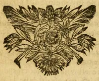 Picture 9 of 16 from Les histoires de Polybe : avec les fragmens ov extraits dv Mesme Avthevr, contenant la pluspart des Ambassades (1669), leaf 529