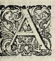 An illustration from Le siege de Metz par l'empereur Charles V en l'an M.D.LII : où l'on voit comme Monsieur de Guise & plusieurs grands seigneurs de France, qui estoient dans ladite ville ce sont comportés a la deffence de la place (1665)