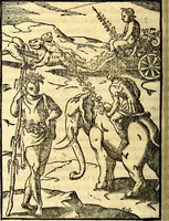 Picture 75 of 95 from Les images des dievx des anciens : contenans les idoles, covstvmes, ceremonies, & autres choses appartenans à la religion des payens (1581), leaf 517