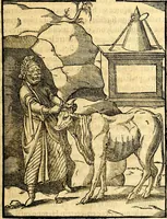 An illustration from Les images des dievx des anciens : contenans les idoles, covstvmes, ceremonies, & autres choses appartenans à la religion des payens (1581)