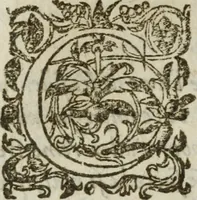 An illustration from Les images ov tableavs de platte peintvre de Philostrate lemnien sophiste grec (1597)