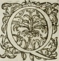 Picture 92 of 93 from Les images ov tableavs de platte peintvre de Philostrate lemnien sophiste grec (1597), leaf 1049