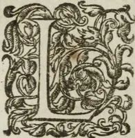Picture 24 of 93 from Les images ov tableavs de platte peintvre de Philostrate lemnien sophiste grec (1597), leaf 239