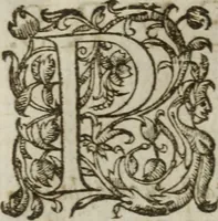 Picture 26 of 93 from Les images ov tableavs de platte peintvre de Philostrate lemnien sophiste grec (1597), leaf 247