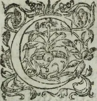 Picture 28 of 93 from Les images ov tableavs de platte peintvre de Philostrate lemnien sophiste grec (1597), leaf 254