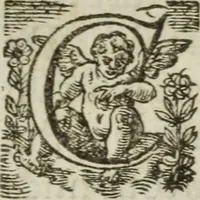 Picture 31 of 93 from Les images ov tableavs de platte peintvre de Philostrate lemnien sophiste grec (1597), leaf 313
