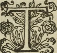 Picture 32 of 93 from Les images ov tableavs de platte peintvre de Philostrate lemnien sophiste grec (1597), leaf 325