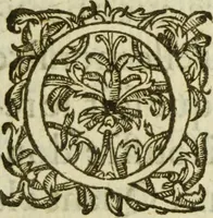 Picture 8 of 93 from Les images ov tableavs de platte peintvre de Philostrate lemnien sophiste grec (1597), leaf 34