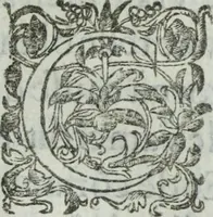 Picture 50 of 93 from Les images ov tableavs de platte peintvre de Philostrate lemnien sophiste grec (1597), leaf 524