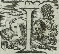 Picture 53 of 93 from Les images ov tableavs de platte peintvre de Philostrate lemnien sophiste grec (1597), leaf 552