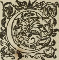 Picture 56 of 93 from Les images ov tableavs de platte peintvre de Philostrate lemnien sophiste grec (1597), leaf 589