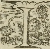 Picture 57 of 93 from Les images ov tableavs de platte peintvre de Philostrate lemnien sophiste grec (1597), leaf 609