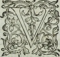 Picture 58 of 93 from Les images ov tableavs de platte peintvre de Philostrate lemnien sophiste grec (1597), leaf 610