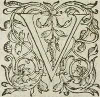 Picture 62 of 93 from Les images ov tableavs de platte peintvre de Philostrate lemnien sophiste grec (1597), leaf 649