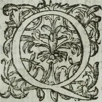 Picture 64 of 93 from Les images ov tableavs de platte peintvre de Philostrate lemnien sophiste grec (1597), leaf 674