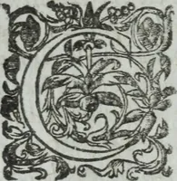 Picture 11 of 93 from Les images ov tableavs de platte peintvre de Philostrate lemnien sophiste grec (1597), leaf 73