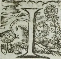 Picture 73 of 93 from Les images ov tableavs de platte peintvre de Philostrate lemnien sophiste grec (1597), leaf 852