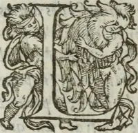 An illustration from Les images ov tableavs de platte peintvre de Philostrate lemnien sophiste grec (1597)