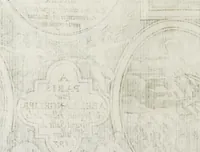 An illustration from Les images ov tableavs de platte peintvre de Philostrate lemnien sophiste grec (1597)