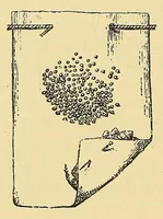 Picture 2 of 19 from Les industries de la soie: sériculture, filature, moulinage, tissage, tenture; histoire & statistique (1890), leaf 34