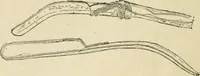 An illustration from Les jeux des Grecs et des Romains (1891)
