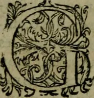 An illustration from Les lettres d'Estienne Pasquier, Conseiller & Advocat General du Roy à Paris : contenans plusieurs belles matieres & discours sur les affaires d'Estat de France, & touchant les guerres civiles (1619)