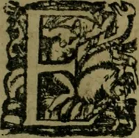 An illustration from Les lettres d'Estienne Pasquier, Conseiller & Advocat General du Roy à Paris : contenans plusieurs belles matieres & discours sur les affaires d'Estat de France, & touchant les guerres civiles (1619)