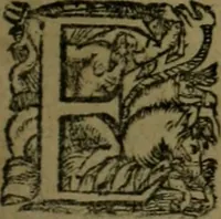 An illustration from Les lettres d'Estienne Pasquier, Conseiller & Advocat General du Roy à Paris : contenans plusieurs belles matieres & discours sur les affaires d'Estat de France, & touchant les guerres civiles (1619)