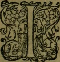 An illustration from Les lettres d'Estienne Pasquier, Conseiller & Advocat General du Roy à Paris : contenans plusieurs belles matieres & discours sur les affaires d'Estat de France, & touchant les guerres civiles (1619)